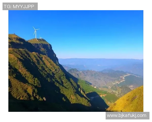 暖阳下的1266天李白诗意人生与心灵探索之旅 暖阳下的1266天李白诗意人生与心灵探索之旅